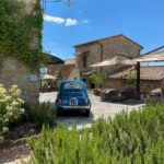 blue van parked beside green plants during daytime