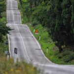 A long road with trees on both sides of it