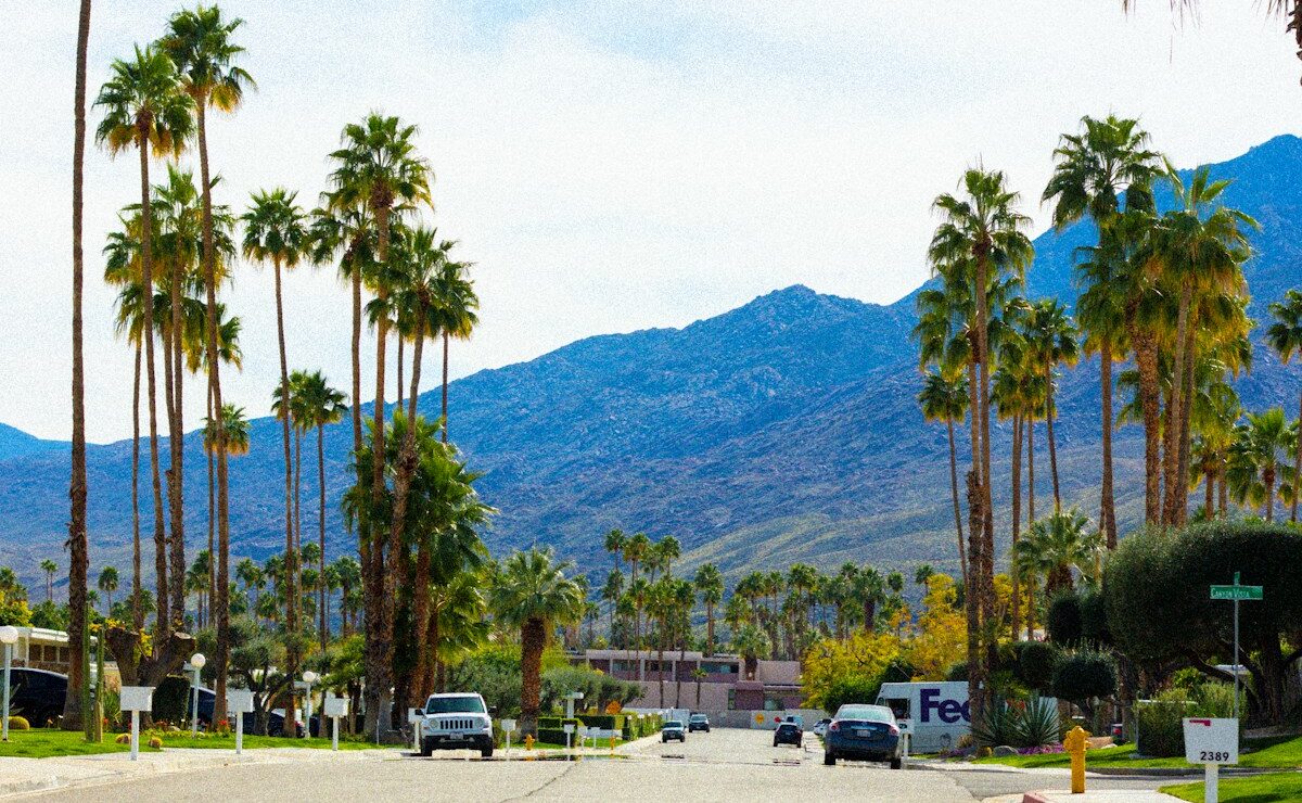 A street with palm trees and mountains in the background