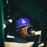 メジャーリーグで活躍する日本人選手。