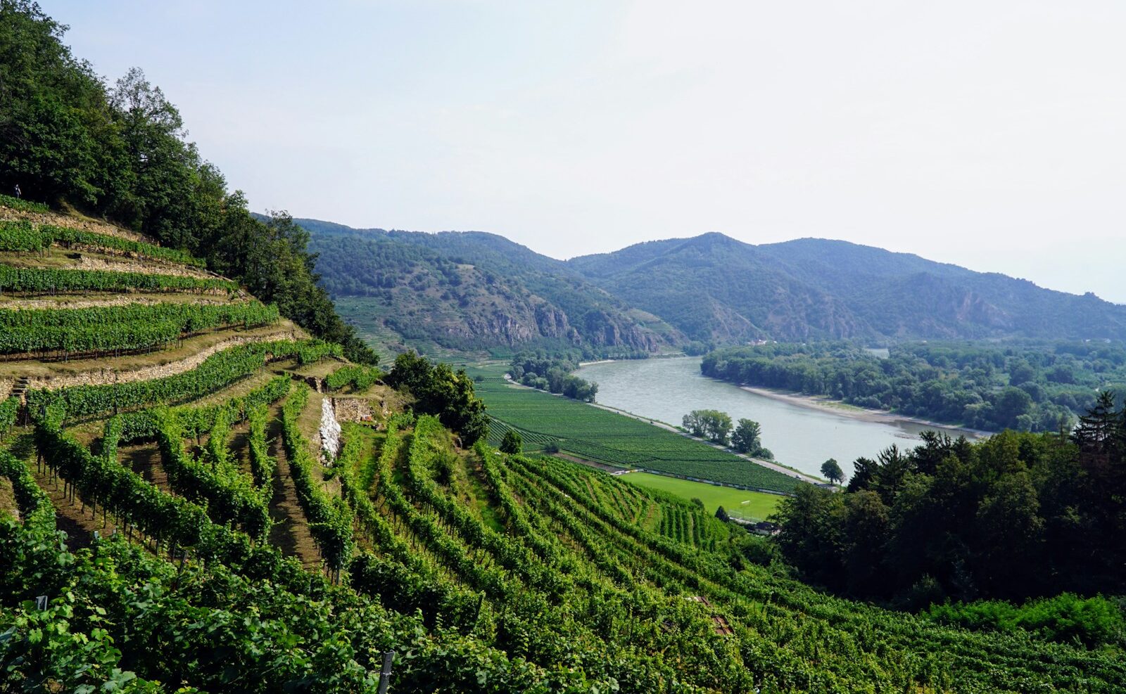 ヴァッハウ渓谷｜オーストリア 世界遺産