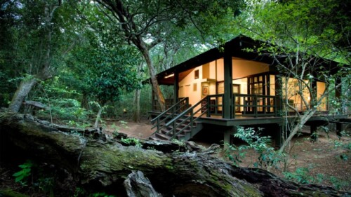 Phinda forest Lodge,&BEYOND