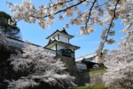 2022年3月25日：春彩の日本一周・釜山13泊14日 （横浜〜横浜）： シルバー・ミューズ